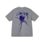 Stussy Pigmento Della Aracnide Grigio T-Shirt