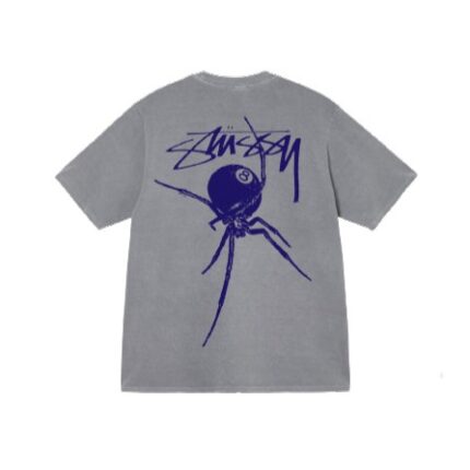 Stussy Pigmento Della Aracnide Grigio T-Shirt