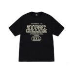 Stussy DE Proprietà Emblema Nero T-Shirt