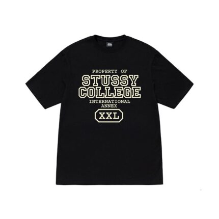 Stussy DE Proprietà Emblema Nero T-Shirt